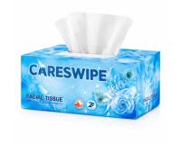 Careswipe: Redefining Everyday Hygiene with Quality and Care