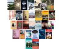 Writing Beyond Applause: The Inner Calling of Videh Arvind Kumar