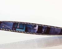 Nagarjuna and Tabu to Reunite After 28 Years in 'King 100'