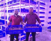 Rootious Organics Startup Revolutionizes Saffron Farming with Aeroponics, Setting New Standards for Purity and Innovation