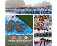Vietnamese Women Connecting the World LETA’SCON Group sets World Record