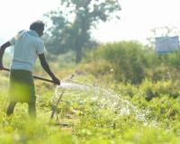 Vedanta Aluminium Enables Irrigation Across 800+ Acres in 41 Villages of Kalahandi