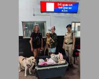 Vadodara: Rail Security Force Restores Smile to Foreign Traveler with Honesty and Promptness