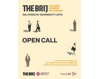 Serendipity Arts Launches THE BRIJ Cultural Leaders Fellowship, a nine-month Leadership Programme for Cultural Practitioners