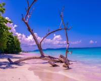 Andaman Travel Care Recognized for Customized Andaman Tour Packages and Honeymoon Travel Experiences