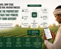 Soil Data. Crop Stage. Disease Risk. Weather Forecast. Inside the Proprietary ML Stack That Powers Every Farmneed Farm Advisory