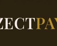 Zectpay: In-House Developed Trading Algorithms With Automated MT5 Deployment