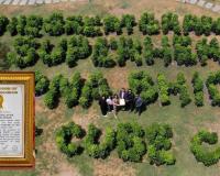 The Cube Club Creates World Record with 10,000 Plant Green Installation, Celebrates 1 Lakh Tree Plantation Milestone with Jackie Shroff