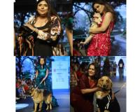 Tails and Threads Pet Couture by Archana Jain Shines at Ahmedabad Fashion Week Season 3 with Barkville Foundation