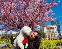 Healing Within: How One Woman Turned Her Deepest Struggle into Her Greatest Purpose