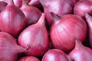 Rajkot farmers struggle to sell onions to NAFED despite government orders