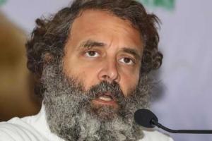 What type of nationalism is Jaishankar following: Rahul