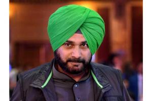 Virat Kohli's Resilience Shines: Navjot Singh Sidhu Predicts 2-3 More Years of Cricketing Brilliance