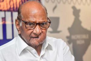 'I am the boss of NCP', asserts Sharad Pawar after ‘no split’ fracas