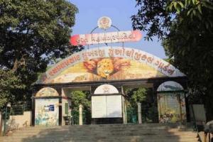 Surat Zoo Implements Measures to Protect Animals from Escalating Summer Heat