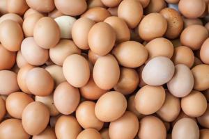 Five held for stealing eggs worth Rs 5.5 lakhs