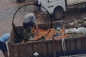 Surat : Rotten Tomatoes Sold Cheap Amid Soaring Prices