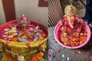 Ganesh Immersion Trends Shift in Surat's Residential Societies