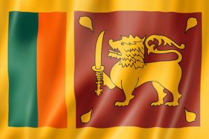 Sri Lankan cabinet approves visa-free proposal for India, 6 other countries