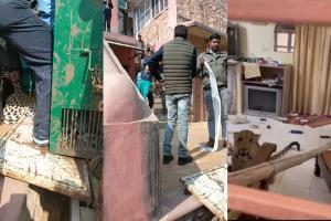 'Uninvited guest': Leopard enters Jaipur heritage hotel, inmates flee in panic