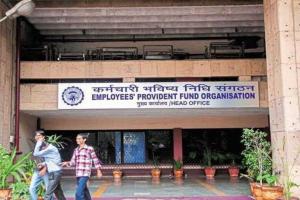 EPFO Sees Highest Enrollment in Three Months, Young Workers Drive Growth