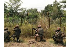 Four Naxalites Killed in Encounter with Maharashtra Police in Gadchiroli
