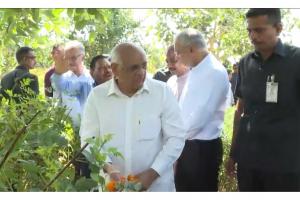 CM Bhupendra Patel Plants Saplings at 'Namo Vad Forest'