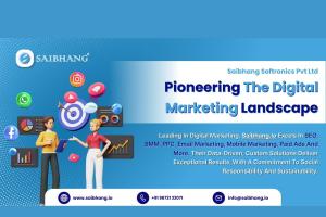 Saibhang Softronics Pvt Ltd: Leading the Digital Marketing Revolution