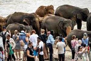 India Tops List of Tourist Arrivals in Sri Lanka for October's First Half