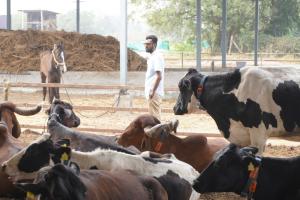 From Farm to Family – Karna Desai’s Vision for a Sustainable Dairy Future