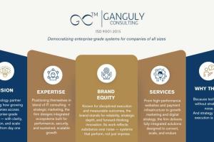 Ganguly Consulting: Empowering Businesses to Scale with Clarity, Systems, and Relationships