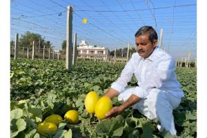Mekala Shiva Shankar Reddy: The Farmer Innovator Transforming Drought-Hit Anantapur into a Hub of Profitable Agriculture