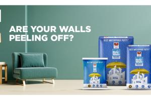 Ever Wonder Why Fresh Paint Starts Peeling, Your Walls Might Be Fine but Are They Built to Last