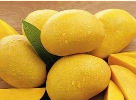 Heavy Drop in Prices Due to Increased Arrival of Alphonso in Mumbai Market
