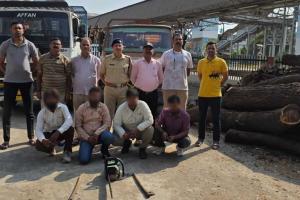 Vadodara: Action against accused involved in illegal tree cutting and theft from railway land by Railway Protection Force