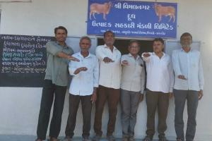 Rajkot: Unique Voter Awareness Campaign in Jamkandorna, Milk Societies Take Oath for 'Fearless Voting