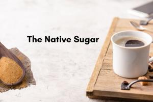 The Native Sugar: India’s 1st Clean-Labelled Natural Sugar Brand Transforming Sugar Consumption