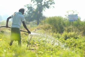 Vedanta Aluminium Enables Irrigation Across 800+ Acres in 41 Villages of Kalahandi