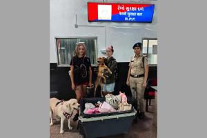 Vadodara: Rail Security Force Restores Smile to Foreign Traveler with Honesty and Promptness