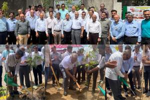 Surat: Pandesara GIDC Sets an Example in Environmental Protection, Plants 1,650 Trees on World Environment Day, Reuses 80 MLD Treated Water