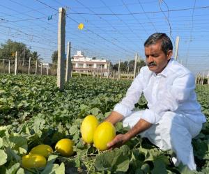 Mekala Shiva Shankar Reddy: The Farmer Innovator Transforming Drought-Hit Anantapur into a Hub of Profitable Agriculture