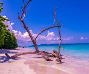 Andaman Travel Care Recognized for Customized Andaman Tour Packages and Honeymoon Travel Experiences